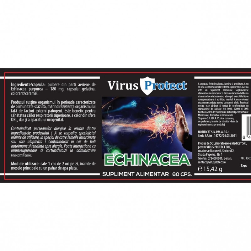 ECHINACEA